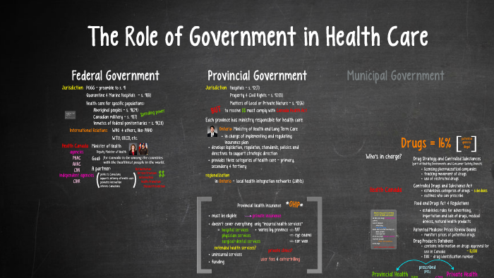 essay on role of government in health
