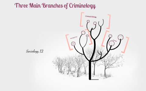 branches criminology main prezi