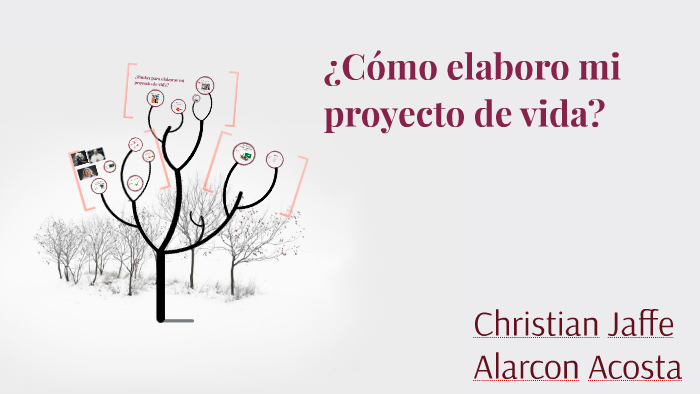 ¿Como elaboro mi proyecto de vida? by Christian Alarcon Acosta on Prezi