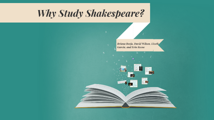 why study shakespeare essay