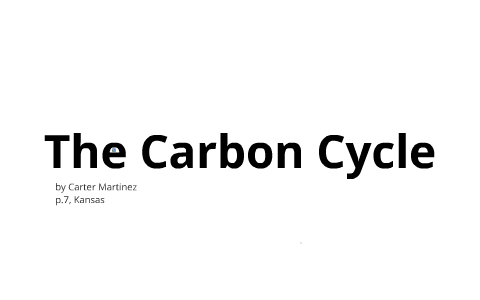 Carbon Cycle by carter martinez on Prezi