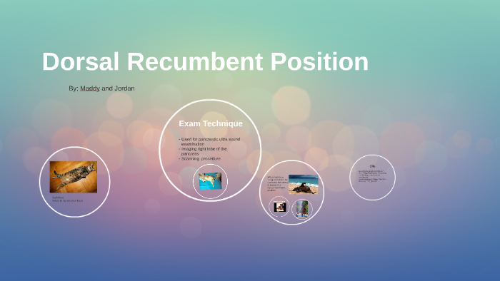 What is the Dorsal Recumbent Position? (2023)