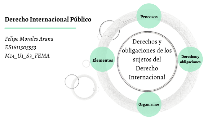 Derechos Y Obligaciones De Los Sujetos Del Derecho Internacional By ...