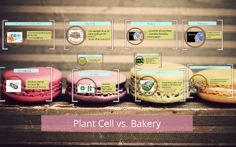 Plant Cell vs. Bakery by Kcatch McElla on Prezi