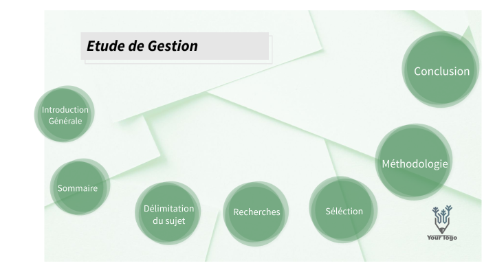 Etude de Gestion by Solène Catalao on Prezi