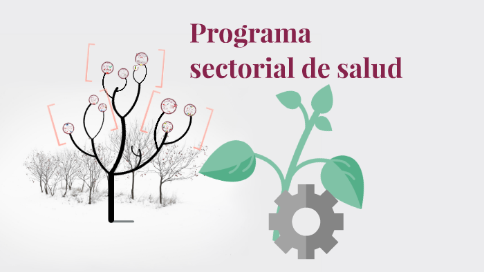 Programa Sectorial De Salud By Cristian Morquecho On Prezi