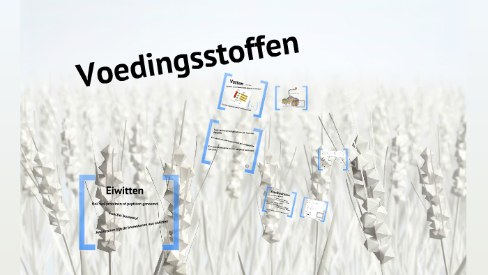 Voedingsstoffen by Sylvia Keijman on Prezi