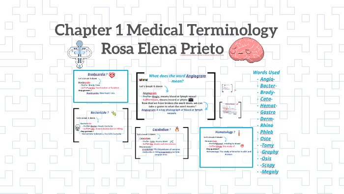 Medical Terminology Quizlet Chapter 1