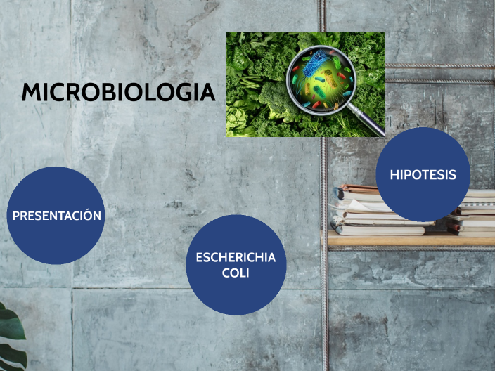 microbiologia by monica oviedo on Prezi