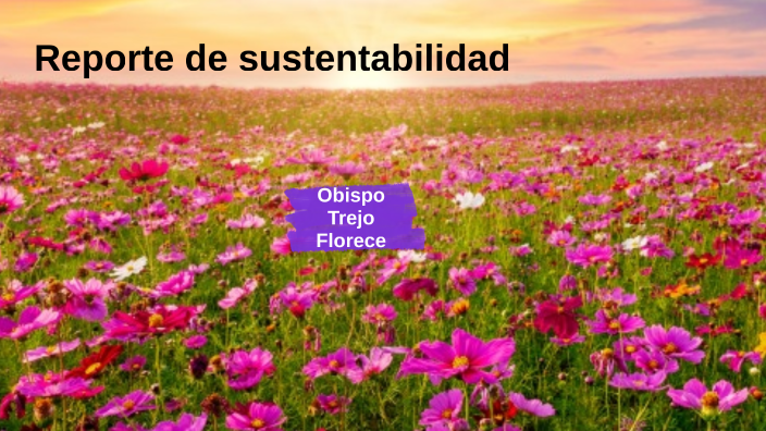 Reporte De Sustentabilidad By R B On Prezi