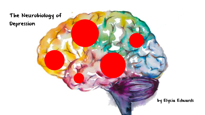 Neurobiology Of Depression By Elycia Edwards