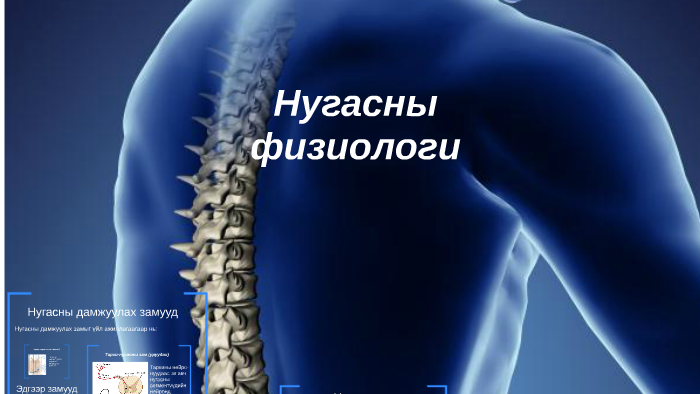 Нугасны физиологи by Ochirsaran Sk on Prezi