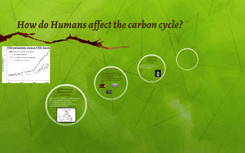 How do Humans affect the carbon cycle? by victoria mae on Prezi