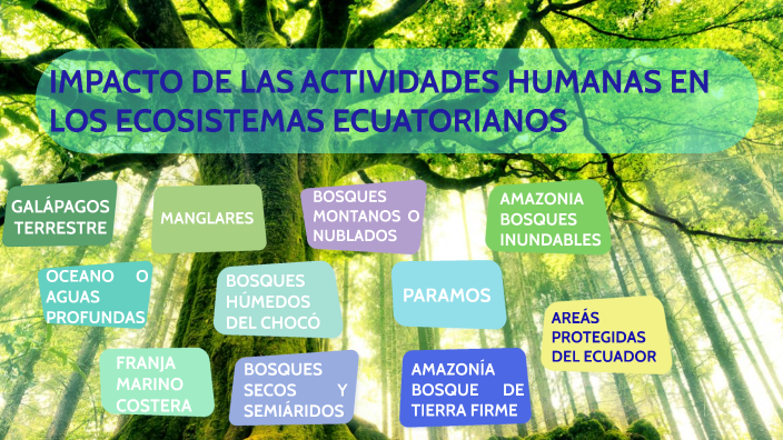 Impacto De Las Actividades Humanas En Los Ecosistemas Ecuatorianos By Karen Hermenejildo On Prezi 
