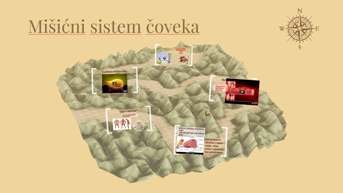 Mišićni sistem čoveka by Ivana Balesevic on Prezi