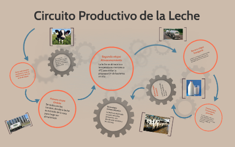 Circuito Productivo De La Leche By Ludyflor Ludyflor On Prezi