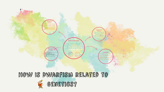 Dwarfism Genetics By Andrea Belanger On Prezi