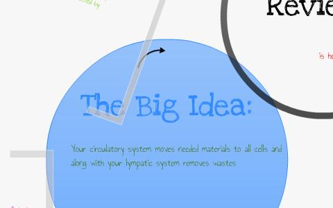 Victorias Copy of Circulation Digital Notebook Template by Victoria ...