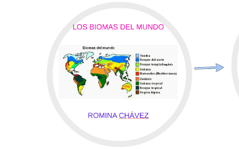 LOS BIOMAS DEL MUNDO by Erika Aldaz on Prezi