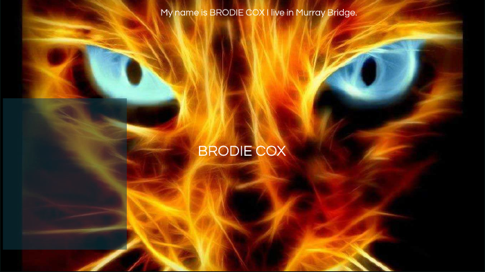 Brodie C by Prue Boland on Prezi Next