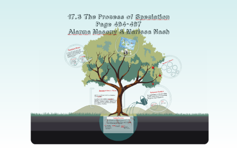 17.3 The Process Of Speciation By Marissa Nash