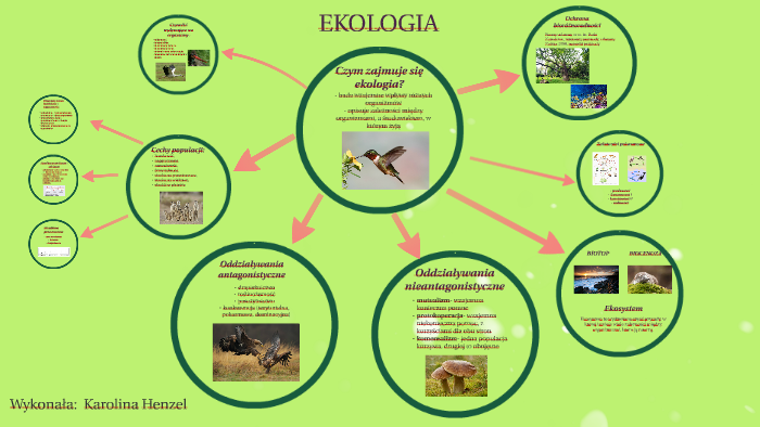 Ekologia By Karolina Henzel On Prezi 3796