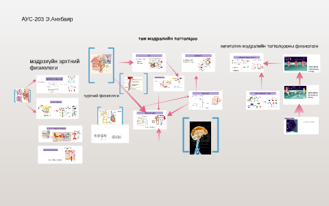 төв мэдрэлийн тогтолцоо by Эрдэнэбаатар Анхаа on Prezi