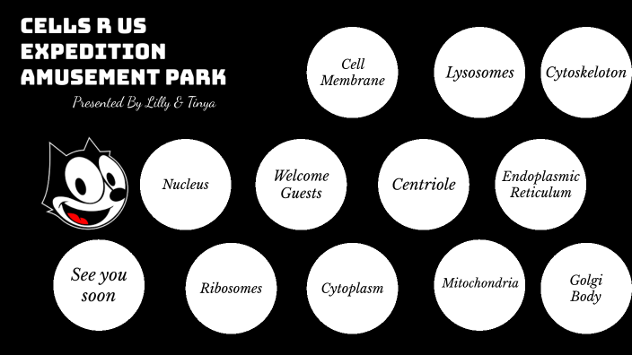 Cells R us Amusement Park by Tinya Madden-Lindsey on Prezi