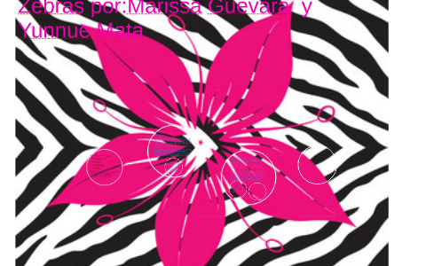Zebras por:Marissa Guevara by marissa guevara on Prezi