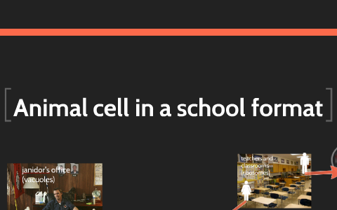 animal cell in a school format! by Mikayla V on Prezi