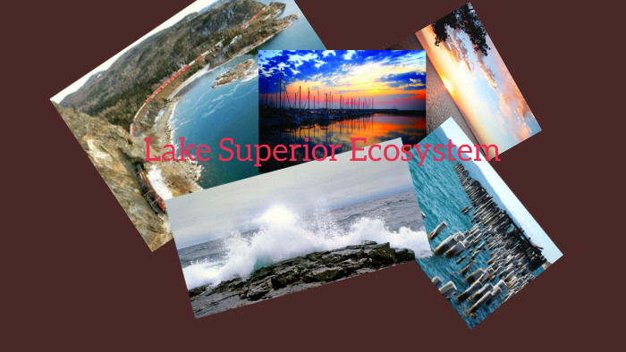 Ecosystem of the great lakes by Wyatt Braman on Prezi