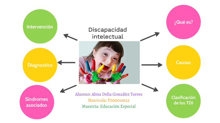 Discapacidad Intelectual By Alma Gonzalez