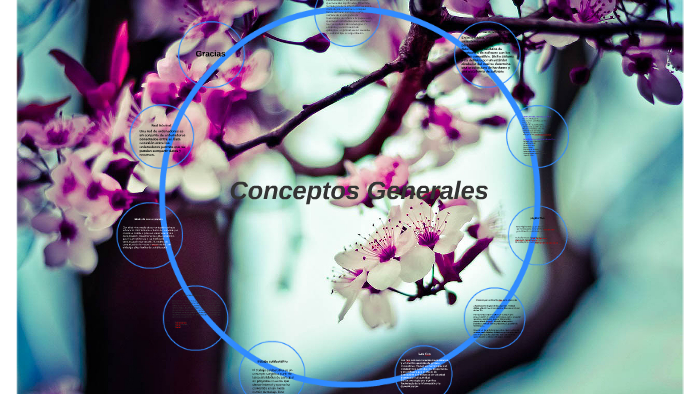 Conceptos Generales by luz marina Salamanca on Prezi