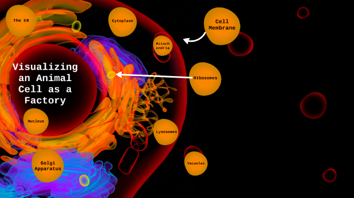 Visualizing a Cell as a Factory by Keeret Mahi on Prezi