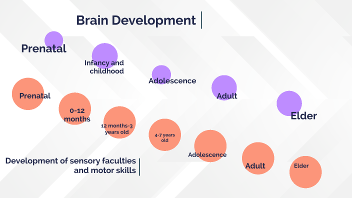 Mackenzie Innes Summative Assessment Task - Module 3 by Mackenzie Innes on Prezi