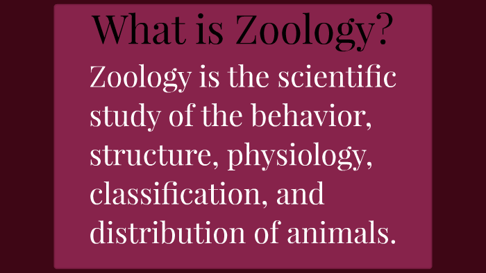 What is Zoology? by Deborah Jonas