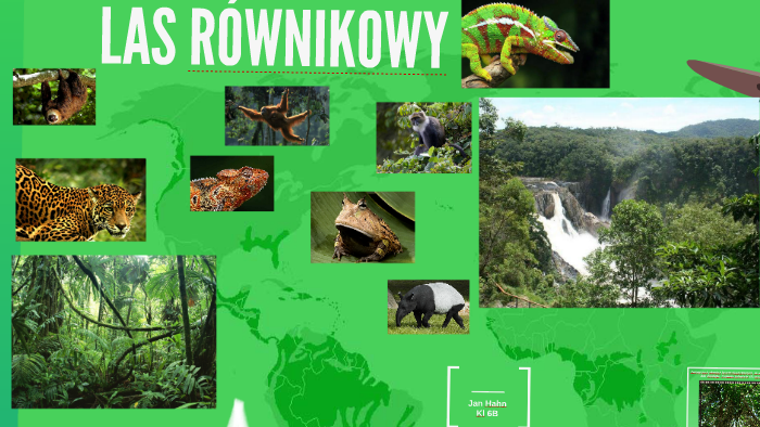 LAS RÓWNIKOWY by Julia Hahn on Prezi