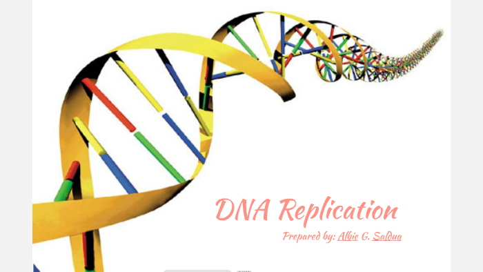 Dna Replication By Al Saldua On Prezi 