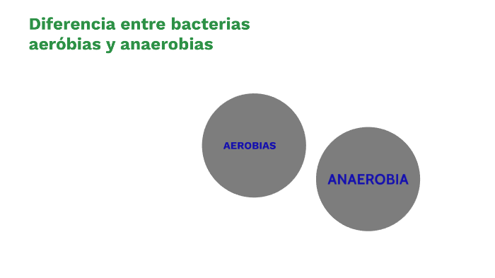 Diferencia entre bacterias aerobias y anaerobias by mercedes choque ...