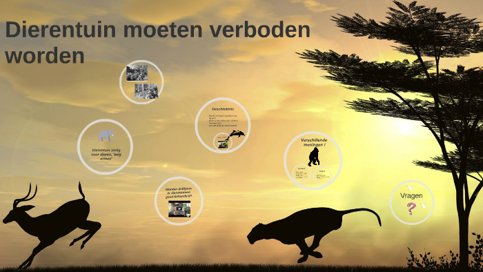 Dierentuin moeten verboden worden by My Linh Ly on Prezi