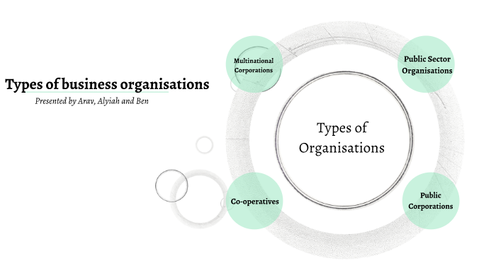 Types of Business Organisations by Alyiah Seow on Prezi