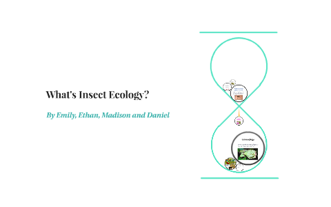 What is Insect Ecology? by Cathy Zisk on Prezi
