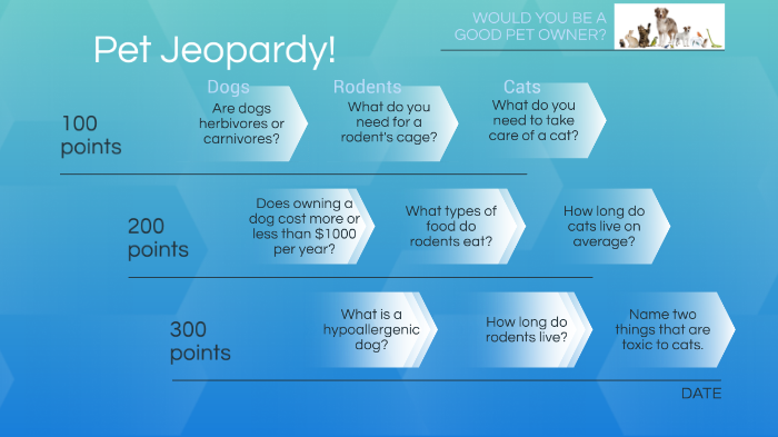 Animal Jeopardy by Anna Dobrot