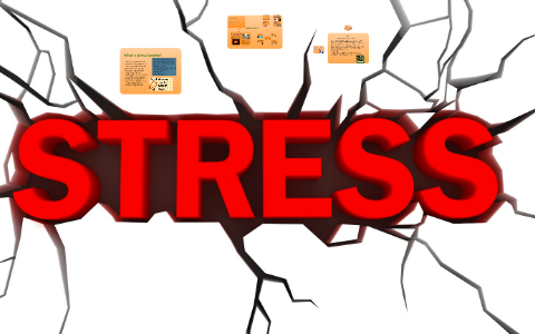 essay about negative effects of stress