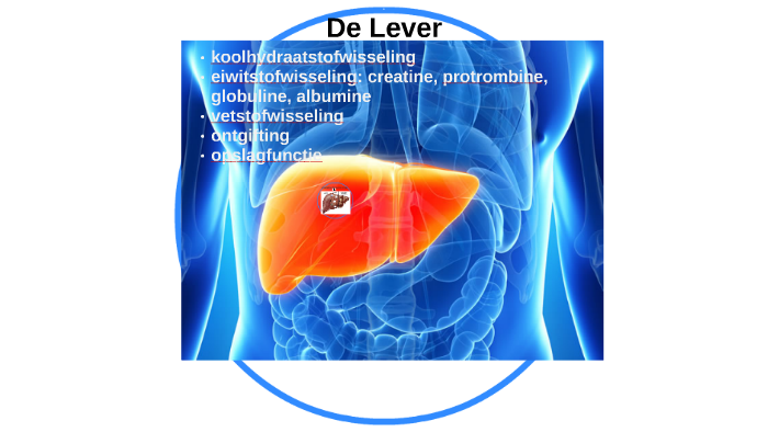 Alcoholische levercirrose by Eva Heide on Prezi