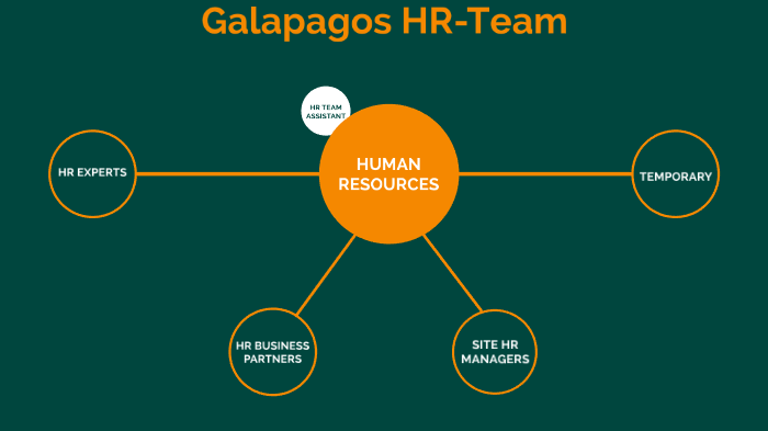 Hr Team Presentation By Alice Vuylsteke