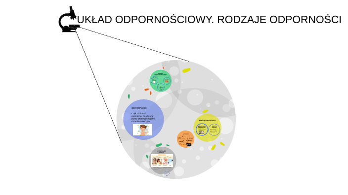 układ odpornosciowy by Beata Zielińska on Prezi