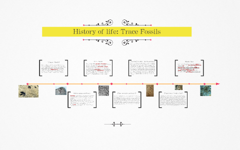 History of life Lab by allison parks on Prezi