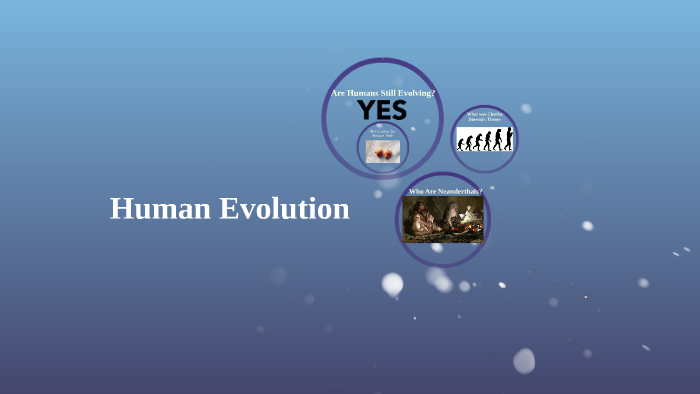 Human Evolution by c si on Prezi