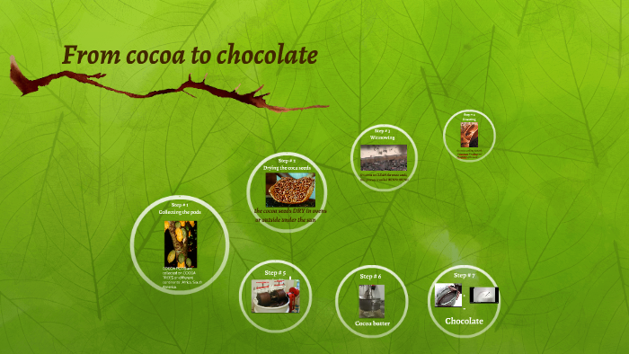 From Cocoa To Chocolate By Aude Fortin-Paillat On Prezi